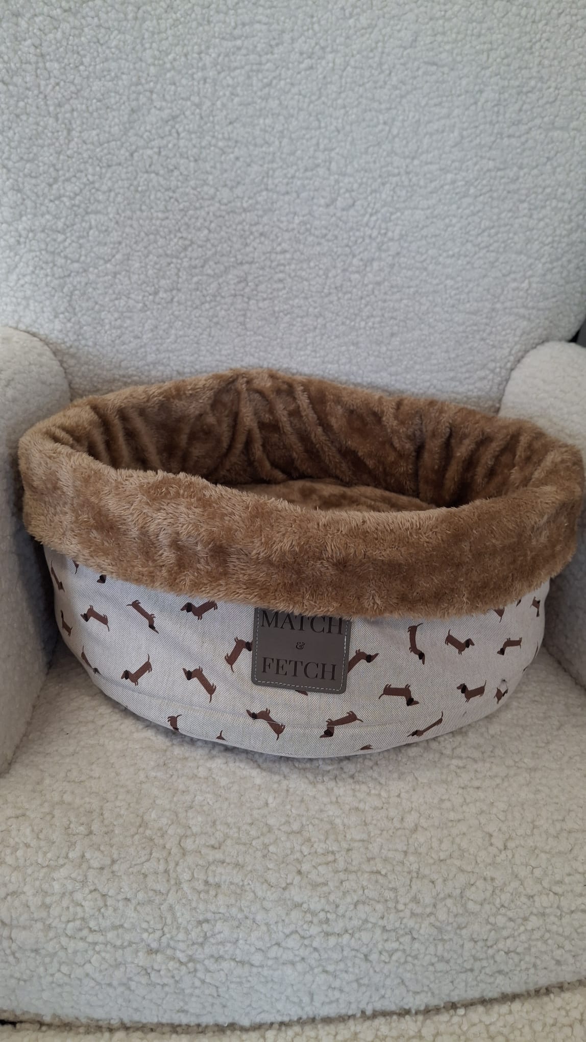 Teckel Cozy Lounge