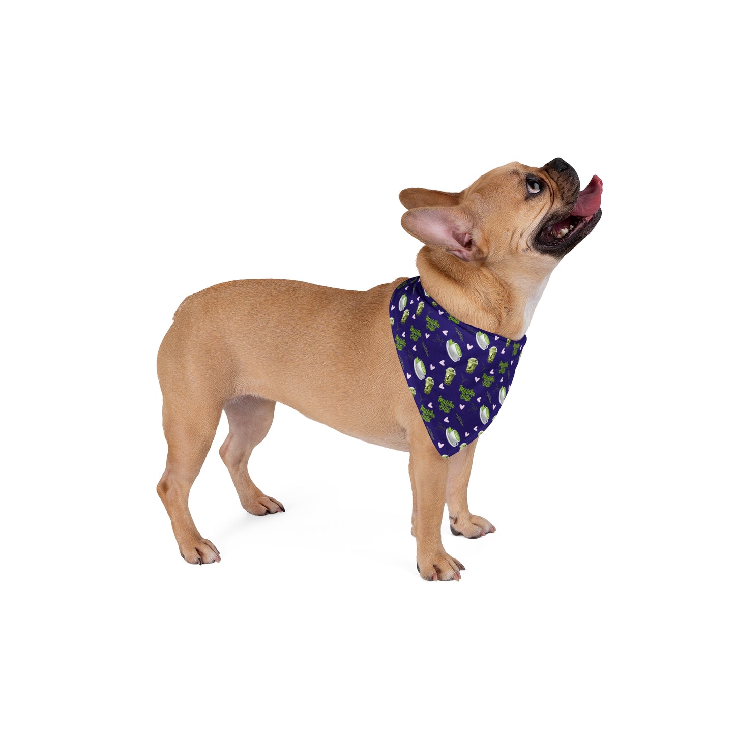 Dog Bandana Matcha Latte Collection - Deep Blue Edition