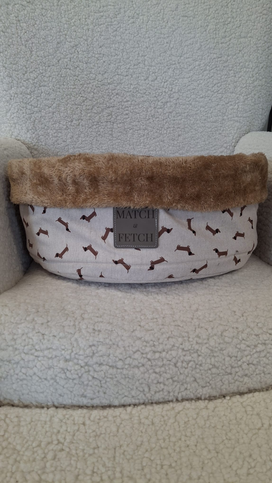 Teckel Cozy Lounge